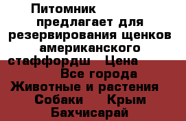 Питомник KURAT GRAD предлагает для резервирования щенков американского стаффордш › Цена ­ 25 000 - Все города Животные и растения » Собаки   . Крым,Бахчисарай